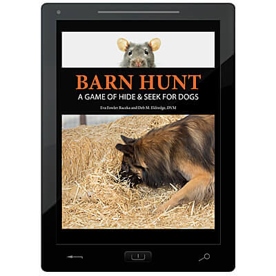 Barn hunt supplies hotsell